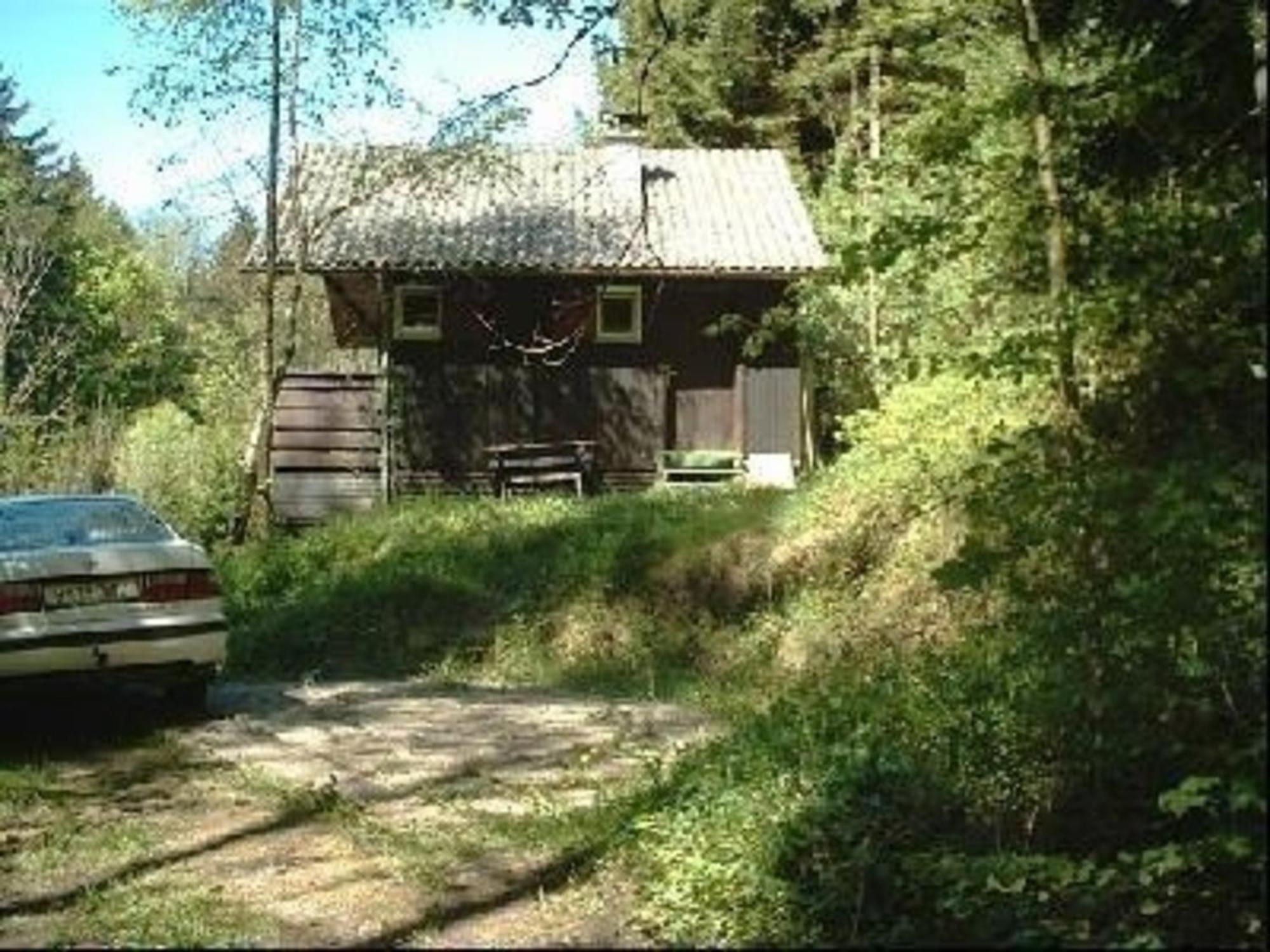 Вилла Ferienhaus Arthurhuette In Hohenweiler Экстерьер фото